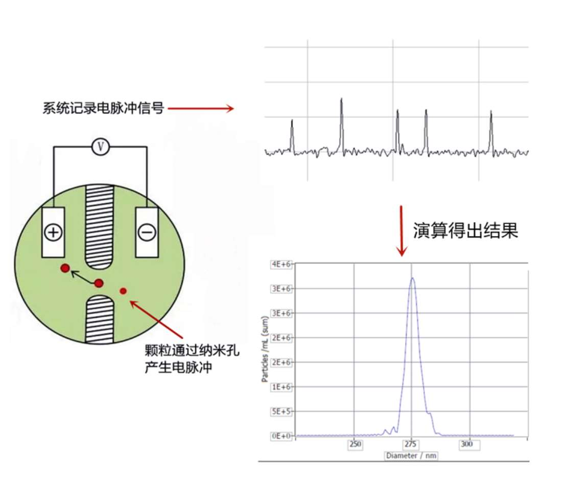 表征仪表的主要质量指标之一是(仪表的质量指标及其对应的表达式)
