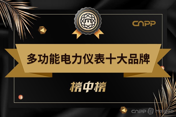 多功能电力仪表十大品牌(多功能电力仪表十大品牌排名)